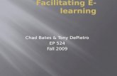 Facilitating E-learning