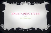 BAGS ADJECTIVES By Cassie Jain. BAGS ADJECTIVES ï¶ In French, adjectives are placed in front of the noun, except for the BAGS adjectives ï¶ If the noun