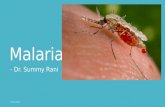 Malaria - Complications (Severe Malaria)