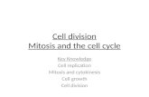 Cell division Mitosis and the cell cycle Key Knowledge Cell replication Mitosis and cytokinesis Cell growth Cell division