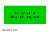 Lesson 8.4
