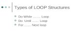 Types of LOOP Structures Do While . Loop Do Until  Loop For  Next loop