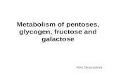 Metabolism of pentoses, glycogen, fructose and galactose Alice Skoumalov