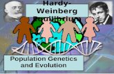 Hardy-Weinberg Equilibrium Population Genetics and Evolution