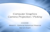 Computer Graphics Camera Projection / Picking