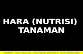 HARA (NUTRISI)  TANAMAN