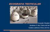 Ecografia testicular