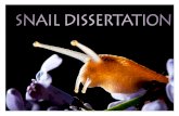 Snail Dissertation