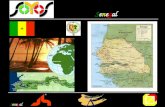 Senegal. De eerste kennismaking met Senegal Senegal