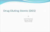 Drug Eluting Stents (DES)