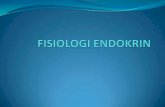Fisiologi endokrin slideterbaru