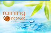 Raining Rose Overview