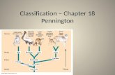 Classification â€“ Chapter 18 Pennington Chapter 18 Pennington