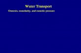 Water Transport Osmosis, osmolarity, and osmotic pressure