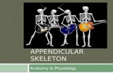 CHAPTER 5: APPENDICULAR SKELETON Anatomy & Physiology
