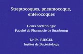 Streptocoques, pneumocoque,  ent©rocoques