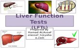 Liver Function Tests  (LFTs)