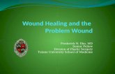 Wound Healing and the  Problem Wound