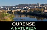 Comarca Ourense