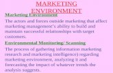 Marketing  Environment   Marketing