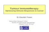 Tumour immunotherapy