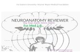 Neuroanatomy reviewer Cerebrum, Cerebellum, Pons