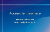 Access: le maschere Marco Gribaudo Marcog@di.unito.it