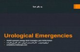 Urological emergencies