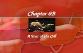 Chapter 6B
