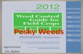 Pesky Weeds