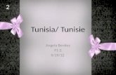 Tunisia/ Tunisie