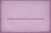 Sensorineural Hearing Loss in Adults