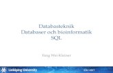 Databasteknik Databaser och bioinformatik SQL