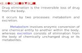 5. Drug Metabolism