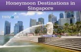 Honeymoon Destinations in Singapore