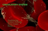 Circulatory System Biology Project