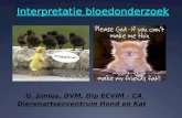 Interpretatie bloedonderzoek G. Junius, DVM, Dip ECVIM â€“ CA Dierenartsencentrum Hond en Kat