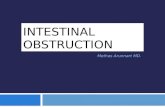 Intestinal obstruction