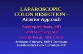 Laparoscopic Colon Resection - Anterior Approach