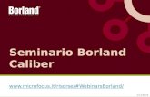 Workshop Borland - Caliber