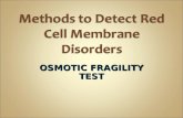 OSMOTIC FRAGILITY TEST. The osmotic fragility test is a measure of the ability of the red cells to take up fluid without lysing. Or it is a test to measures