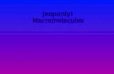 Jeopardy! Macromolecules