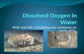 Dissolved Oxygen in Water