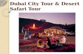 Dubai City Tour & Desert Safari Tour