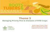 Theme 3: Managing Priority Pest & Diseases of RTB Crops