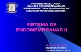 Endomembranas II