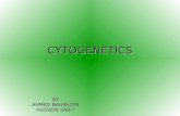 CYTOGENETICS 3n