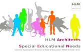 Special Education Needs Hlm Bfe Mena 2011