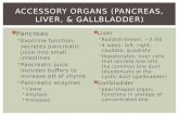 Accessory organs (pancreas, liver, & gallbladder)