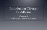 Main topics covered Introduction Bases for Buddhist ethics Alternative moral dimensions in Tibetan Buddhist society Historical dimensions